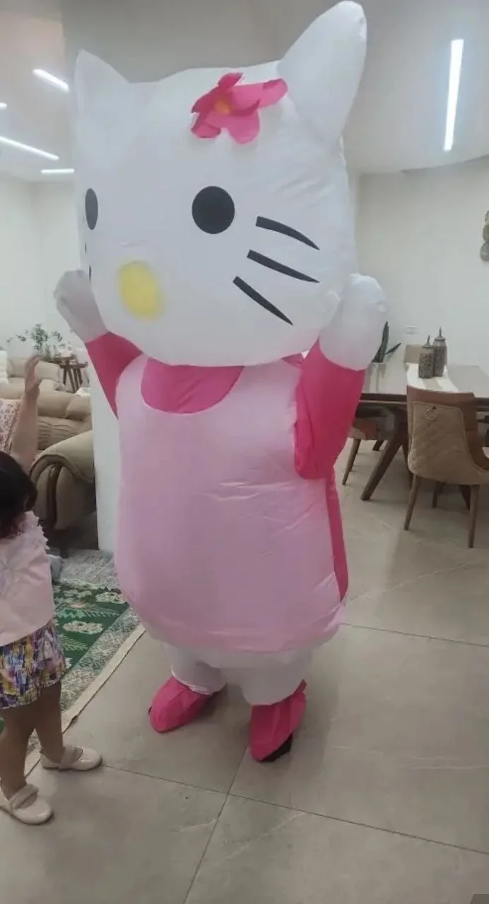 Hello Kitty, другой ракурс